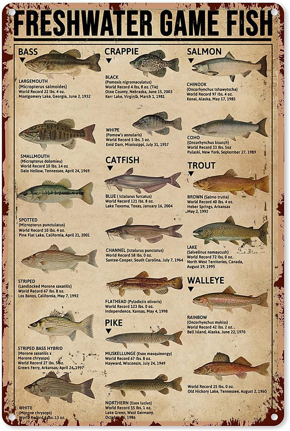 Home Decor Game - Y1, Poster Seni Memancing, Tanda Logam,