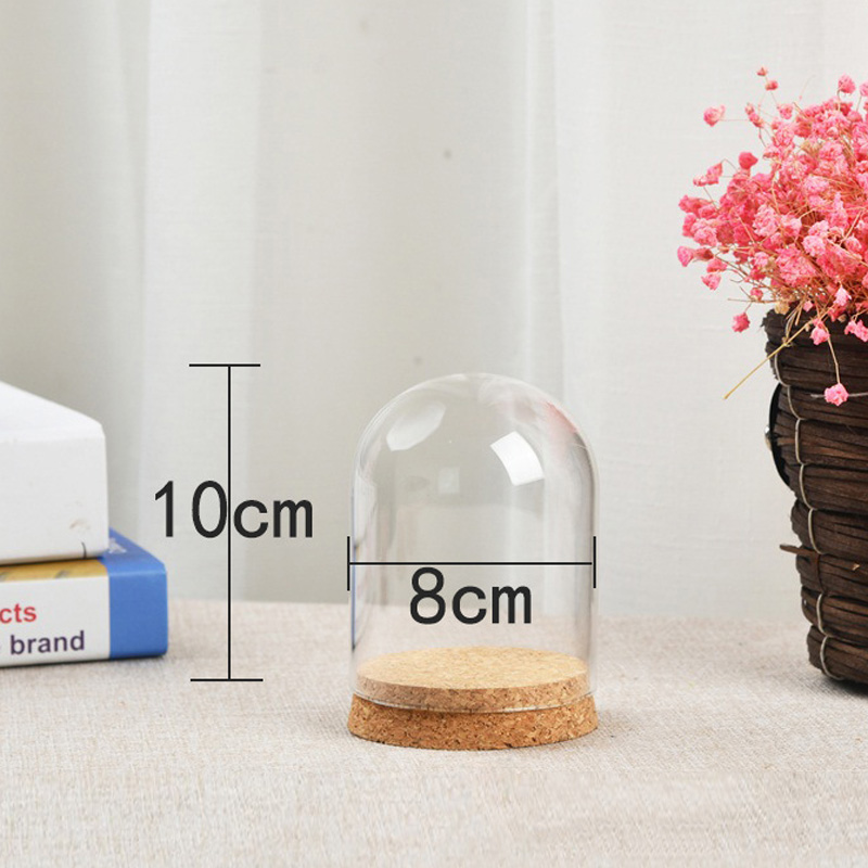 Terrarium Glass Bottle - Penutup kubah kaca untuk bunga tanaman