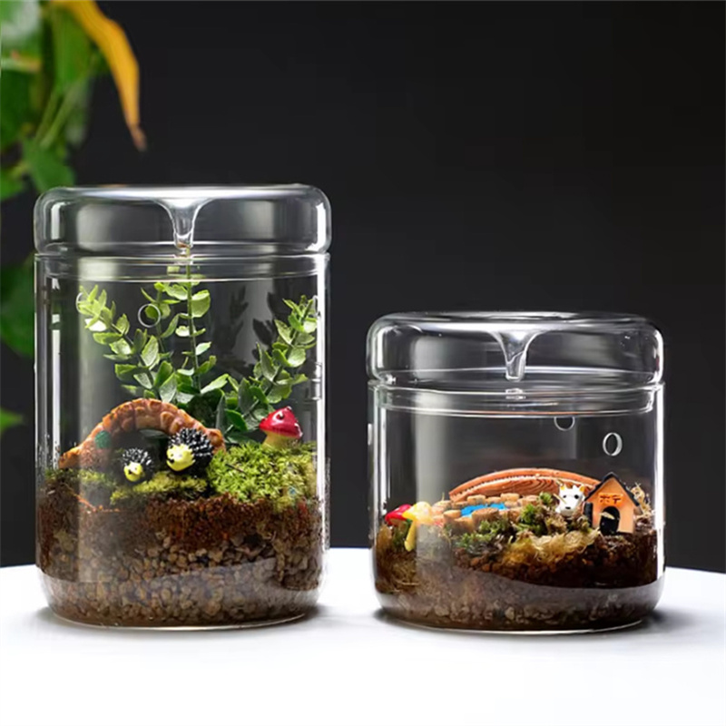 Terrarium Glass Bottle - Botol kaca kreatif Koleksi embun vas