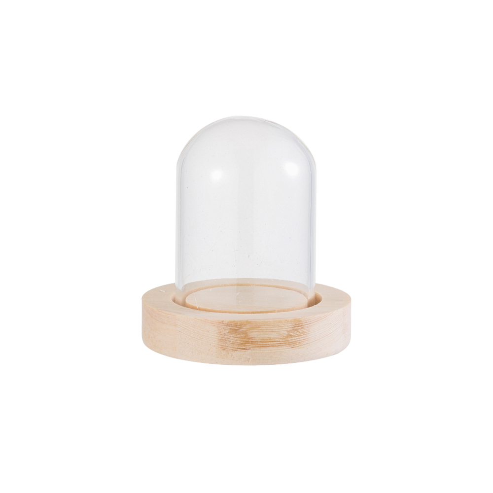 Terrarium Glass Bottle - Lampu Hias Dekorasi Rumah Terarium Botol