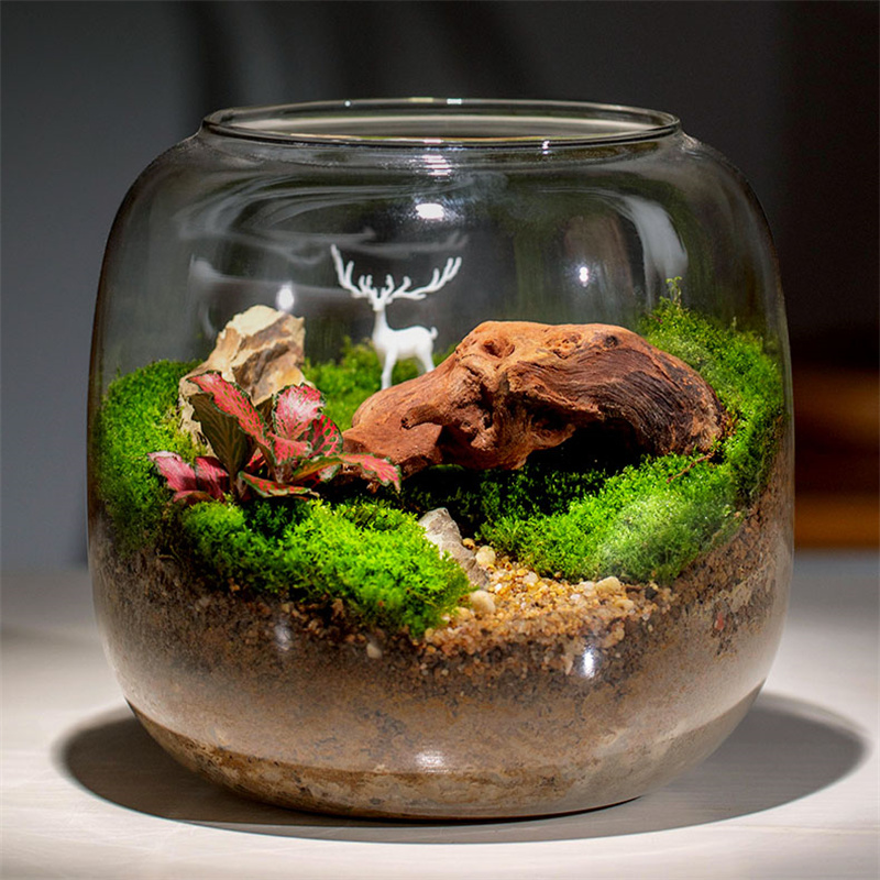 Botol Kaca Mikro Lanskap untuk - Terrarium Glass Bottle ulasan dan harga