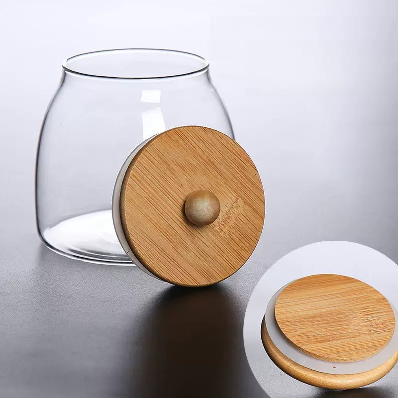 Botol Kaca Lumut Lanskap Mikro - Terrarium Glass Bottle ulasan dan harga