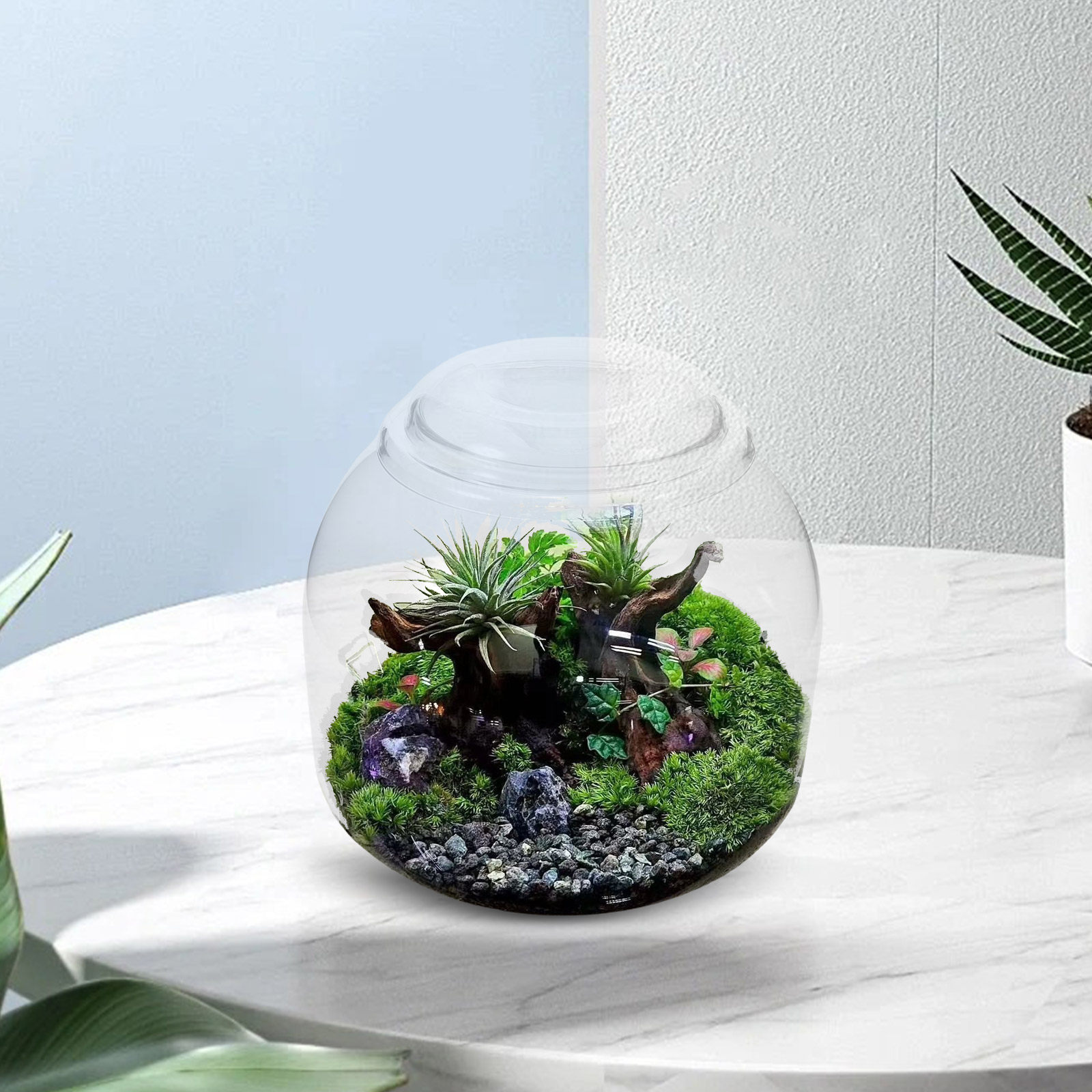Toples Terrarium Kaca dengan T - Terrarium Glass Bottle ulasan dan harga