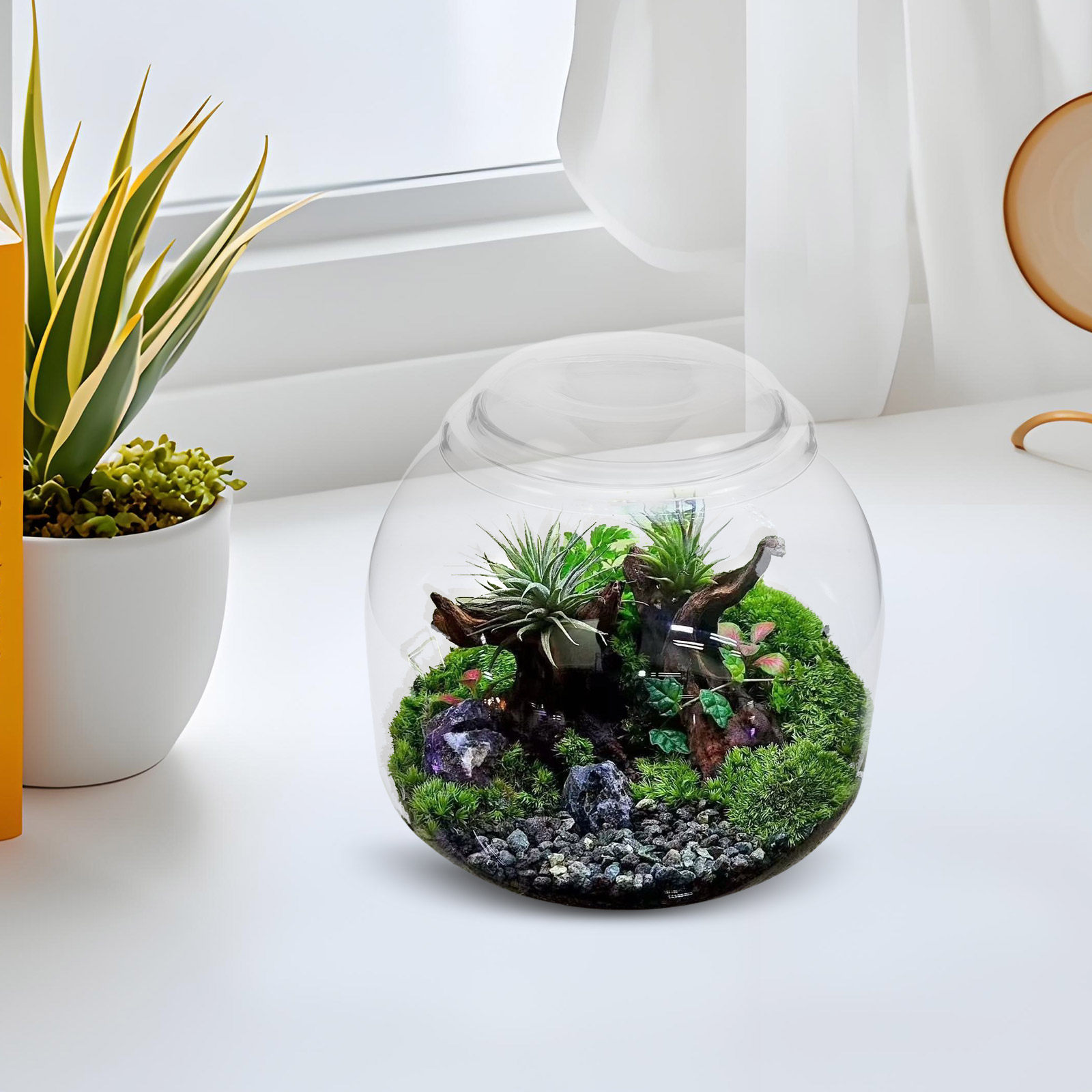 Toples Terrarium Kaca dengan T - Terrarium Glass Bottle ulasan dan harga