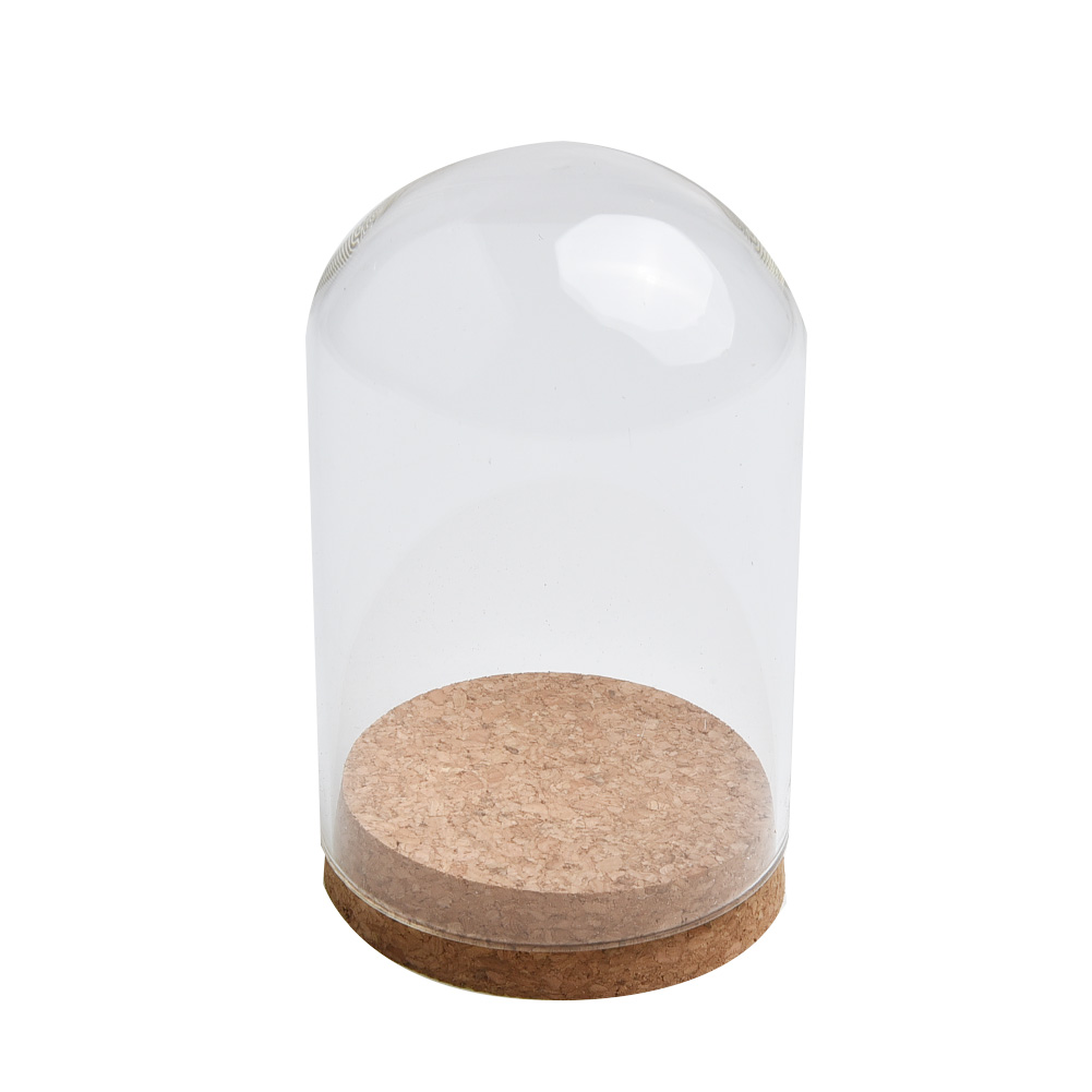 Penutup kubah kaca untuk bunga - Terrarium Glass Bottle ulasan dan harga