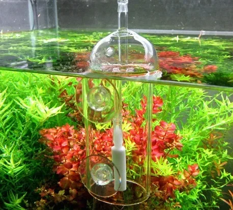 VIV Do perangkat akuarium kaca - Terrarium Glass Bottle ulasan dan harga