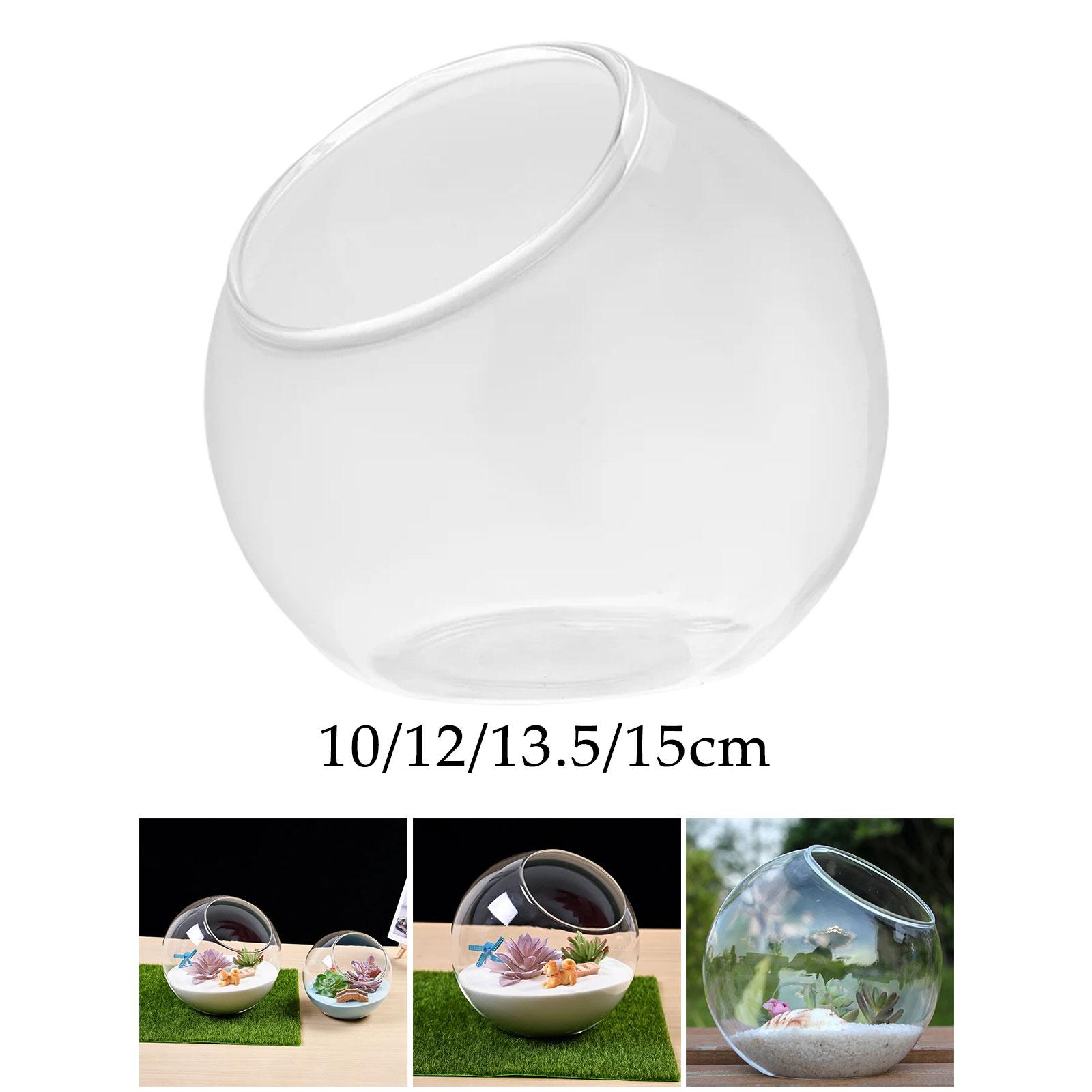 Vas kaca terarium, hiasan teng - Terrarium Glass Bottle ulasan dan harga