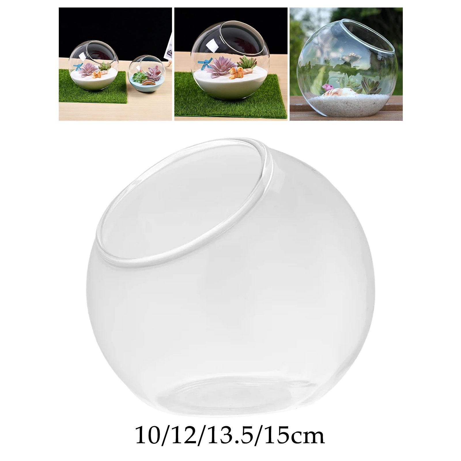 Vas kaca terarium, hiasan teng - Terrarium Glass Bottle ulasan dan harga