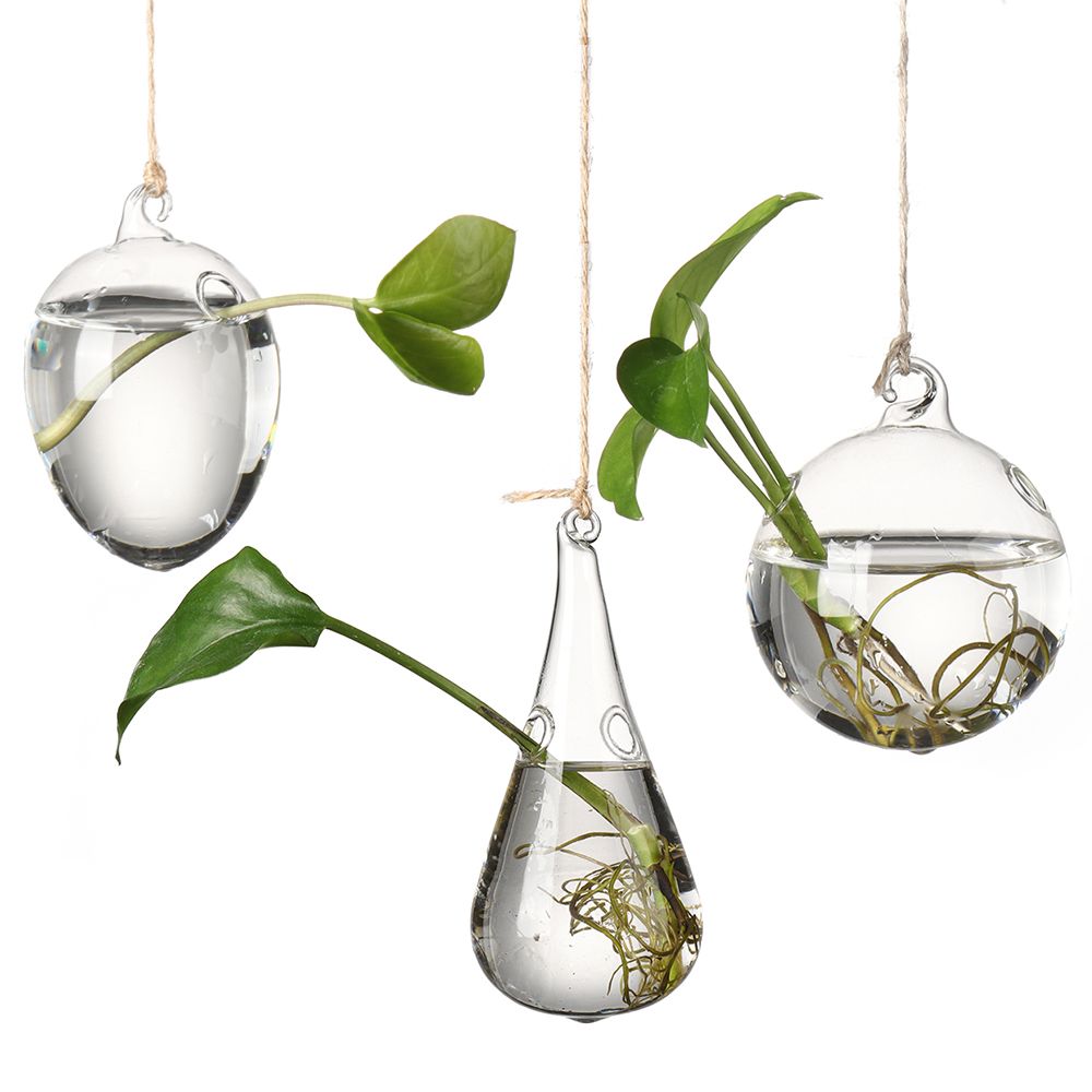 Vas Kaca Gantung Kreatif Vas T - Terrarium Glass Bottle ulasan dan harga