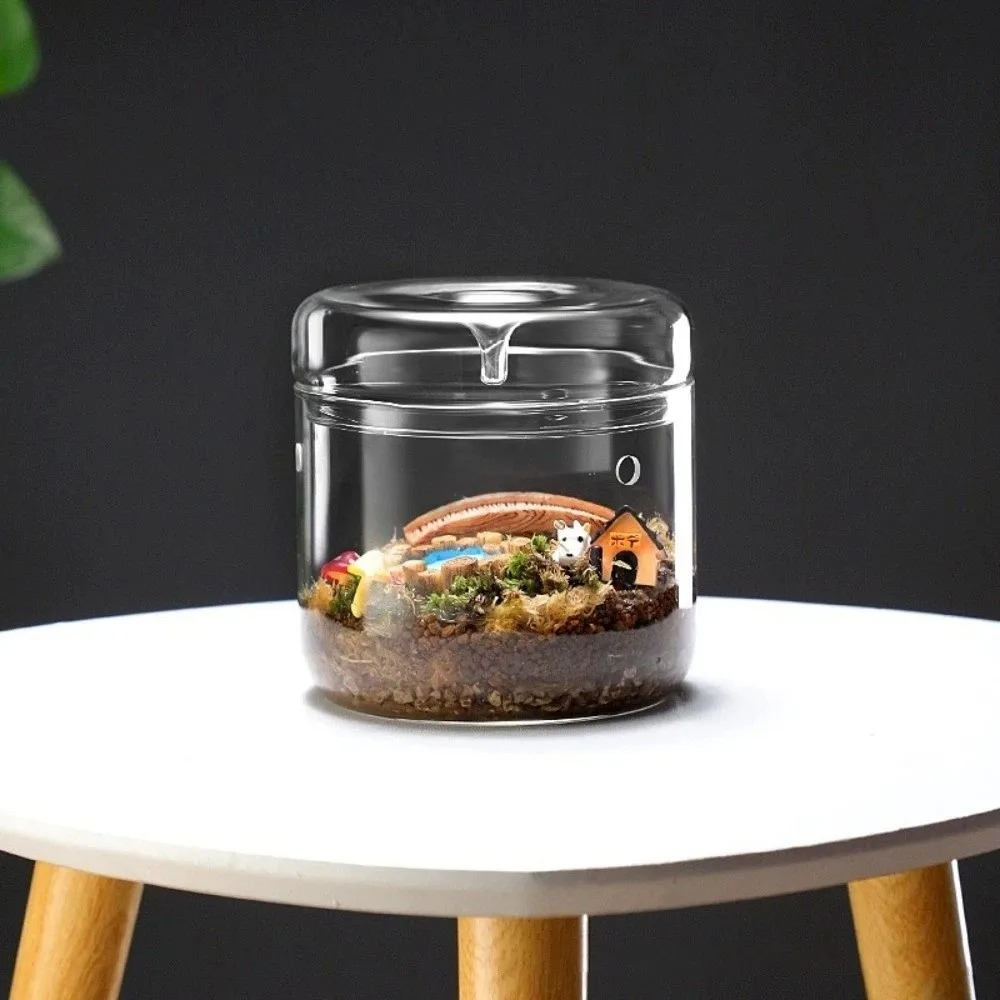 Vas Kaca Mikro Lanskap dengan  - Terrarium Glass Bottle ulasan dan harga