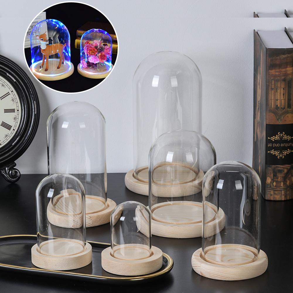 Terarium Meja dengan Lampu Per - Terrarium Glass Bottle ulasan dan harga