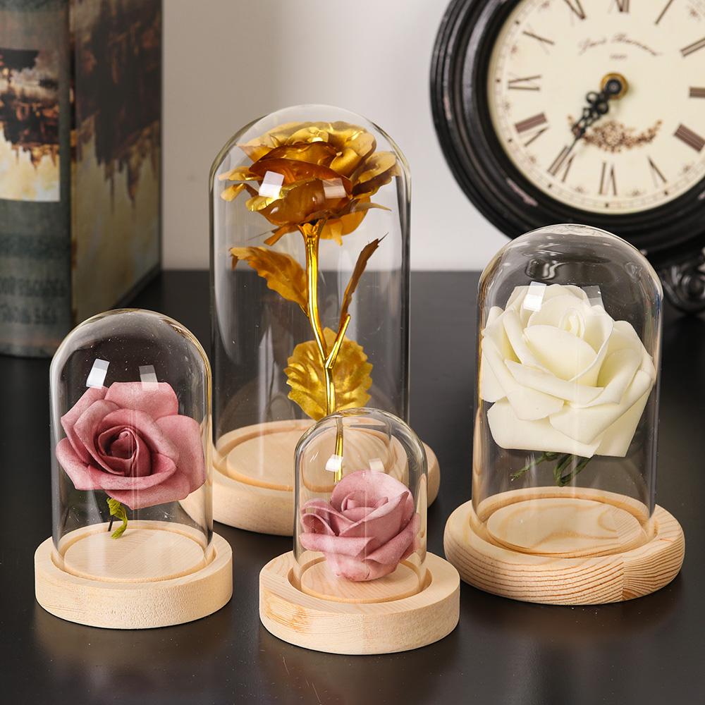 Kaca Cloche Jar Tampilan berdi - Terrarium Glass Bottle ulasan dan harga