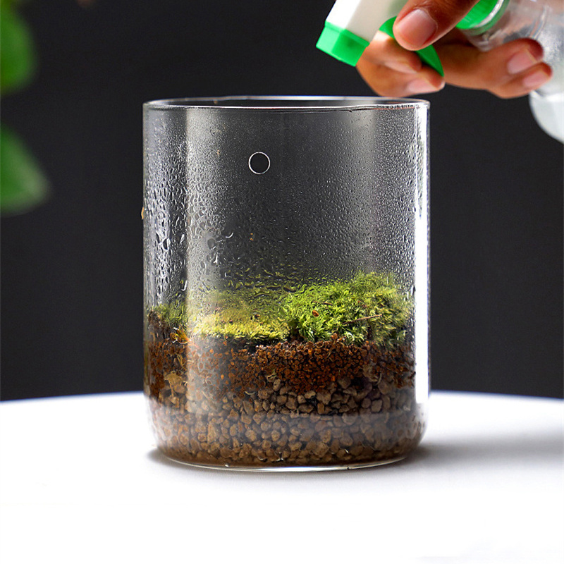 Botol kaca kreatif Koleksi emb - Terrarium Glass Bottle ulasan dan harga