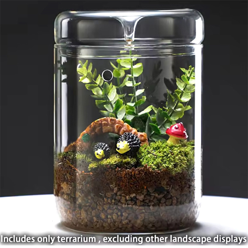 Botol kaca kreatif Koleksi emb - Terrarium Glass Bottle ulasan dan harga