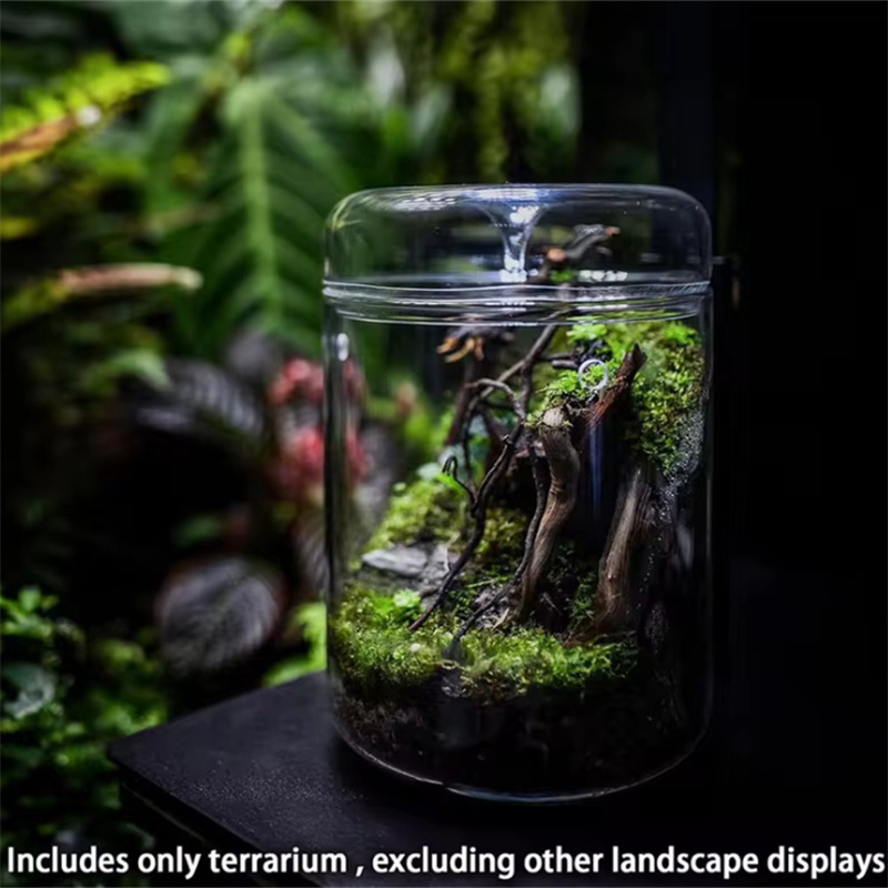 Botol kaca kreatif Koleksi emb - Terrarium Glass Bottle ulasan dan harga