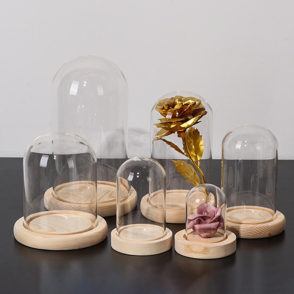 Lampu Hias Dekorasi Rumah Tera - Terrarium Glass Bottle ulasan dan harga